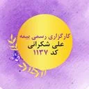 کارگزاری رسمی بیمه علی شکرانی