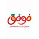 اندیشه ورزان موفق