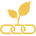 سپنتا آرمانی