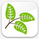 عصر آنلاین