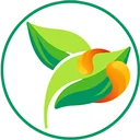 فروشگاه اینترنتی عطارپیچ