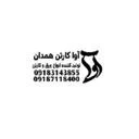 آوا کاغذ