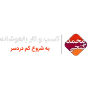 کسب و کار باهوشانه