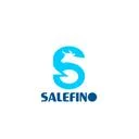 بازرگانی سالیفینو