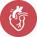 کلینیک قلب و عروق