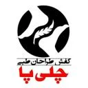 چلیپا