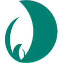 ماه