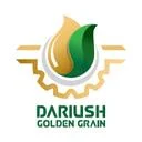دانه طلایی داریوش