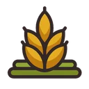 توسعه گندم