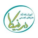 آموزشگاه هنرهای تجسمی درنیکا
