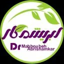 مطب دکتر ابریشم کار