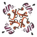 فروشگاه عین