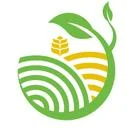 اتحاد اخوان کازرون