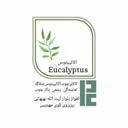 کالای چوب اکالیپتوس شلاگه