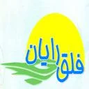 فلق رایان
