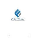 فرزین فولاد فرزانگان
