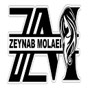 آکادمی و سالن زینب مولایی