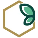 بهین تجارت