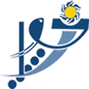 شرکت خورشید