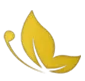 عرفان پخش