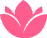 لوماسیس