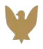پرواز برنز