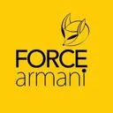 فرس آرمانی