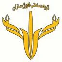 گروه روشنایی فورژسازان