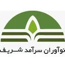 جیتو