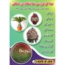 گل فروشی نمایشگاه