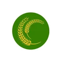 گل گندم