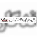 کفش همپای ماندگار نسیم