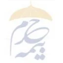 نمایندگی بیمه حرم