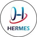 مشاورین اطلاعات هرمس