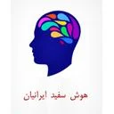 هوش سفید ایرانیان