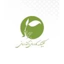 جوانه