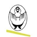 جوجه مرغ آمین