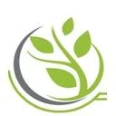 کاملیا خشت
