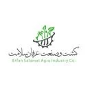 کشت و صنعت عرفان سلامت