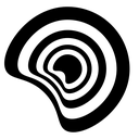 کیادینامیک