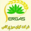 کیان سبز پرگاس
