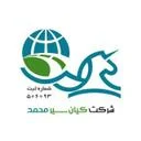 کیان سیر محمد