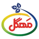 بهینه وزین (مهگل)
