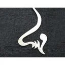 استارتاپ مهسا