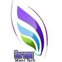 مانی طرح بارمان