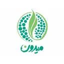 میدون