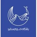 باشگاه موج سفید