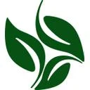 موهیتو
