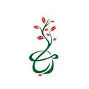 مهد کودک مربا