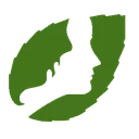 ام اس بی
